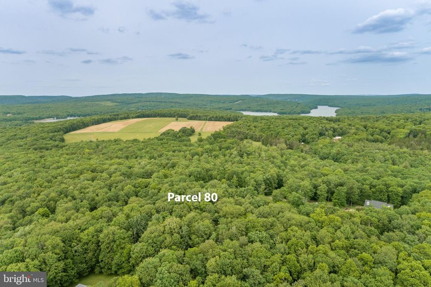 10.72 Acres on County Maintained  Bray School Road improved with 30 ' x 40' pole building. No HOA. Property approved for a 4BR on site septic system to build your home. Mostly wooded and Excellent location to State Parks and Deep Creek Lake.  Shared County Road  entrance with adjoining property.