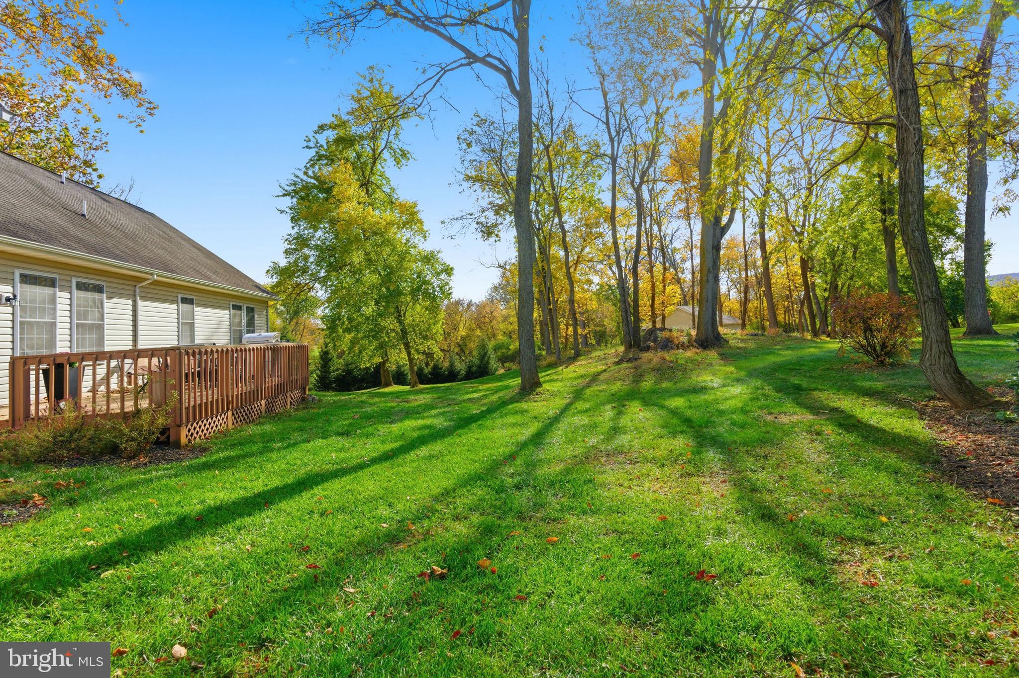 MOUNTAIN BROOK ESTATES - Residential