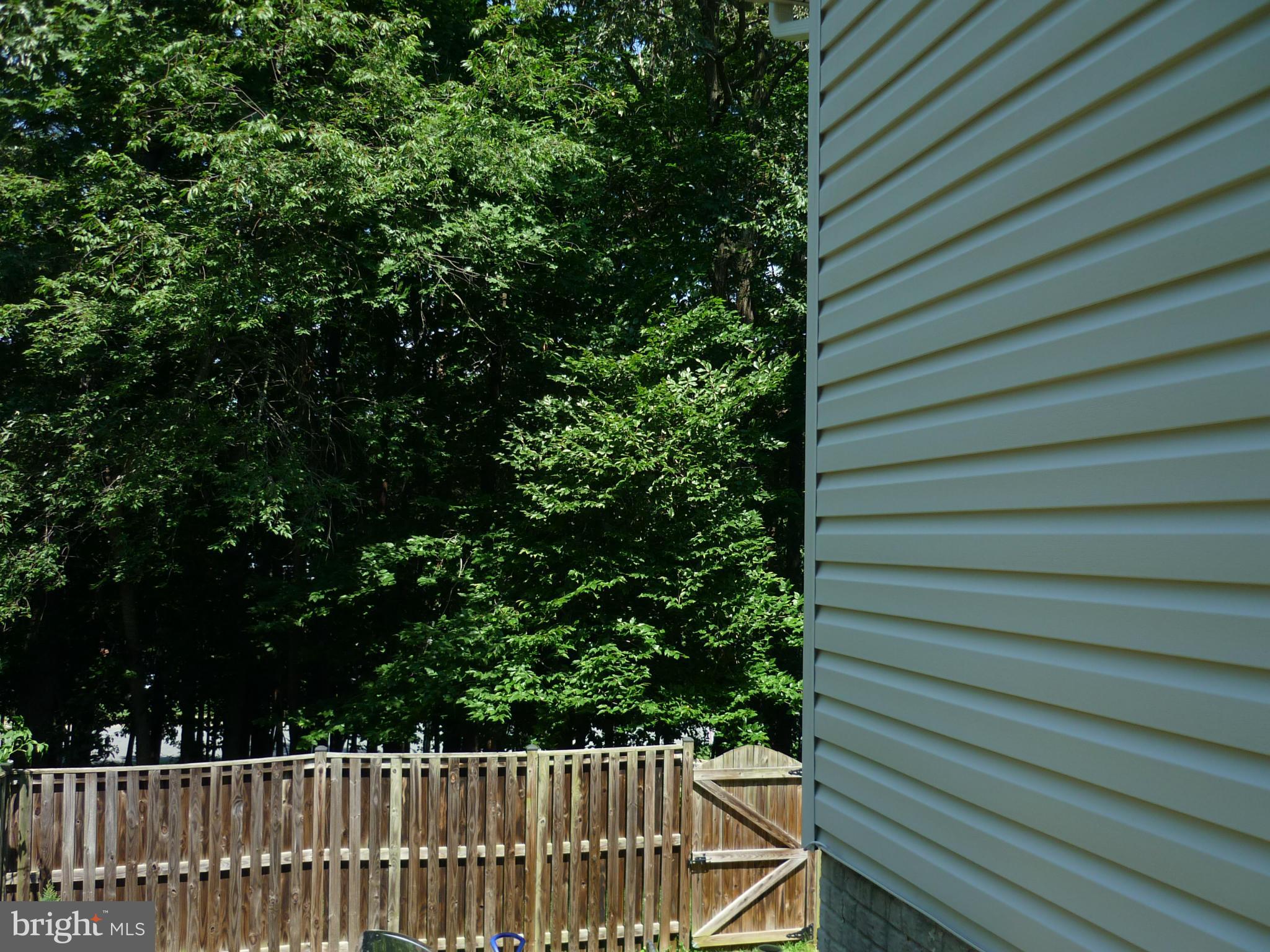 MONTCLAIR ST3 - Residential Lease