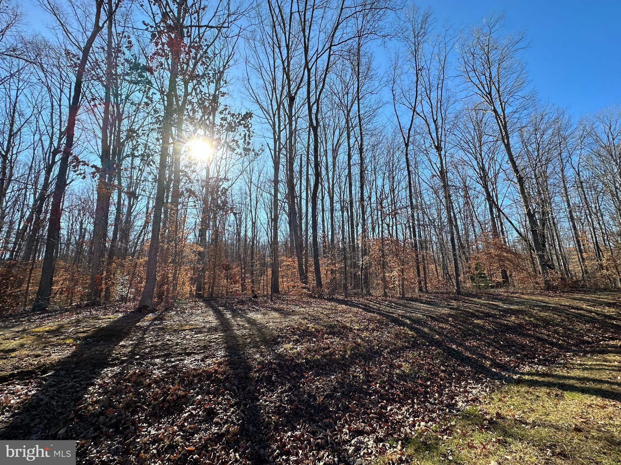 NOAHS LANDING - Land