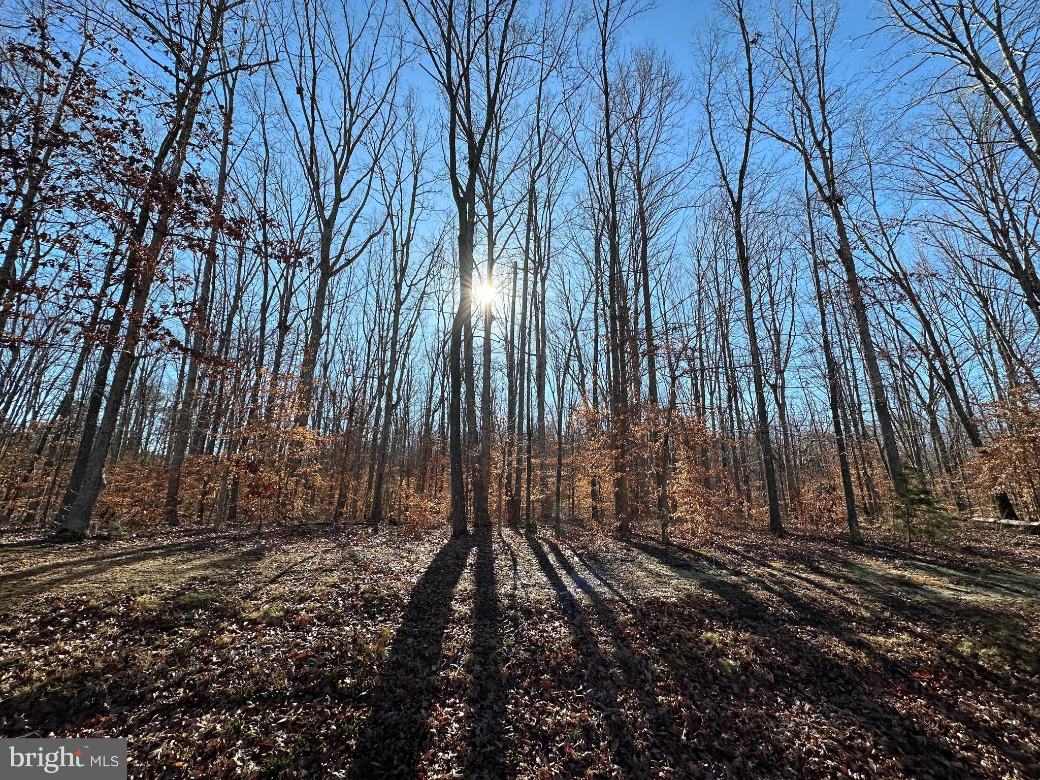 NOAHS LANDING - Land