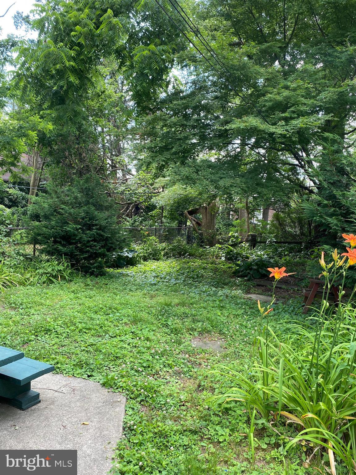 ROXBOROUGH - Residential Lease