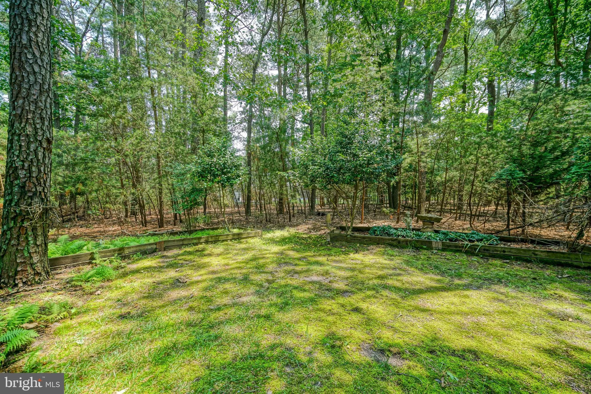 Lewes, Delaware 19958, United States, 4 Bedrooms Bedrooms, ,4 BathroomsBathrooms,Residential,Contingent,79658