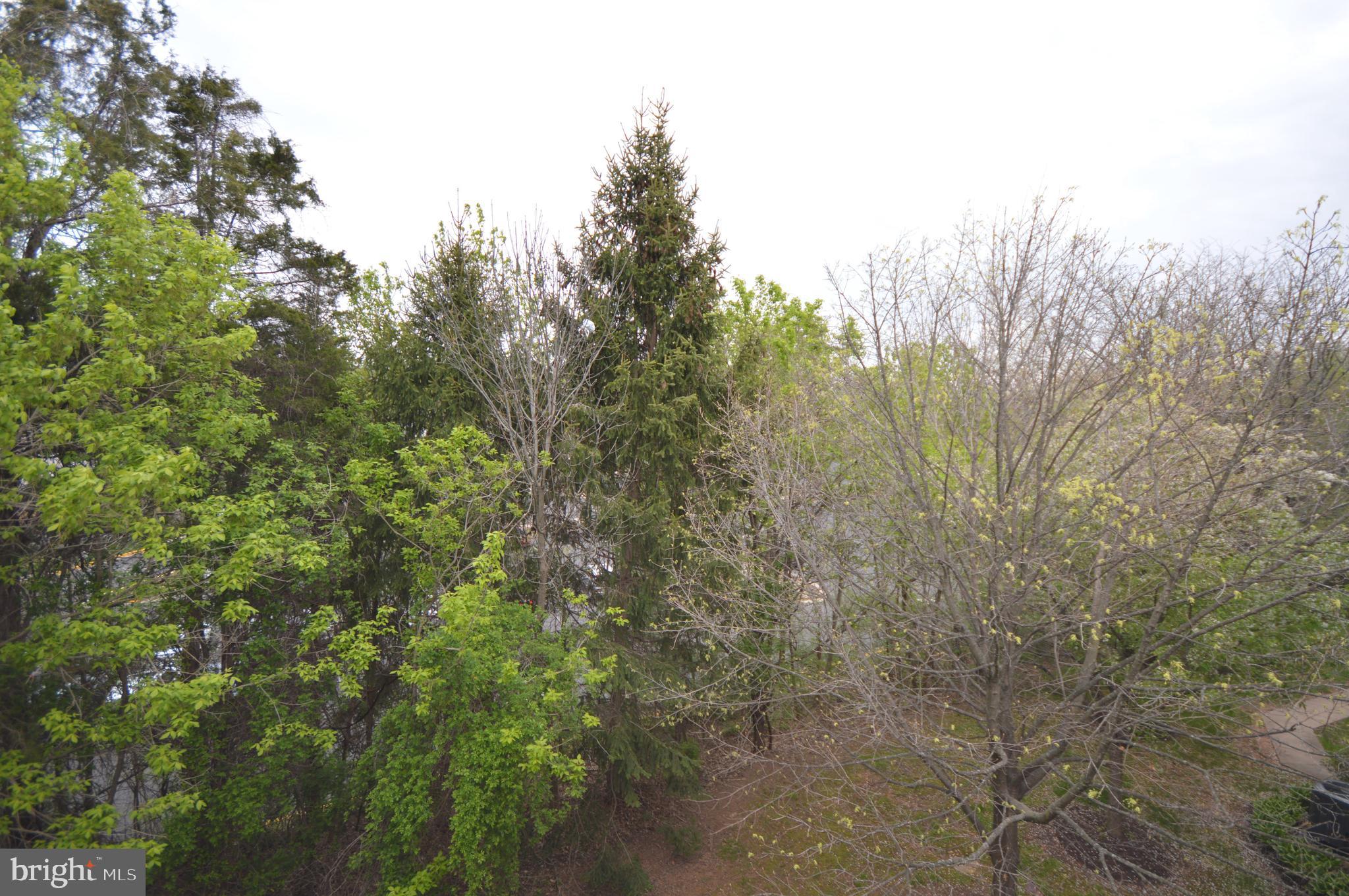 SENECA KNOLLS CODM - Residential Lease