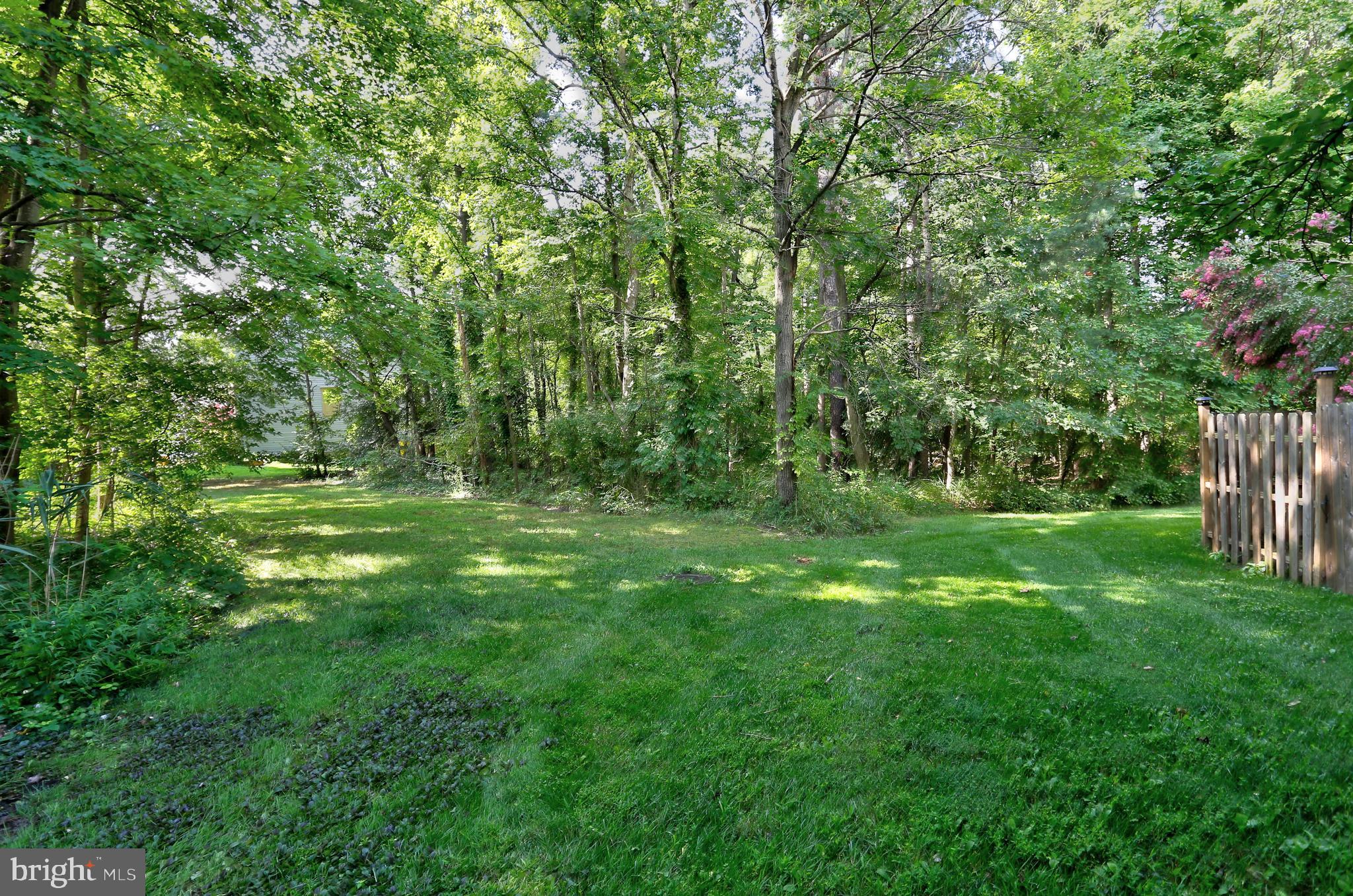 CHESTNUT HILL COVE - Residential