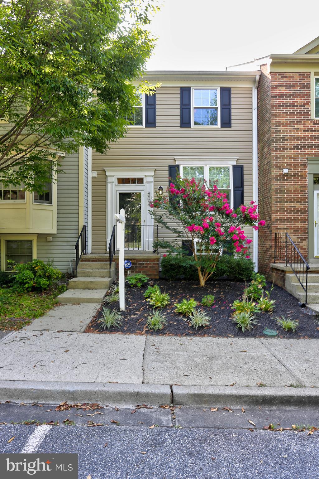 CHESTNUT HILL COVE - Residential