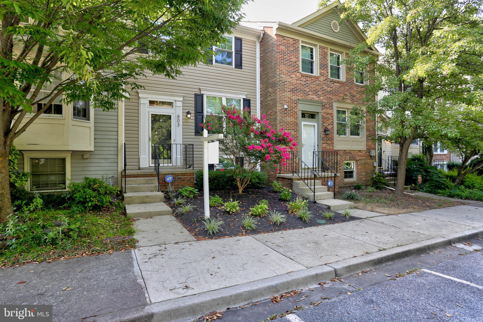 CHESTNUT HILL COVE - Residential