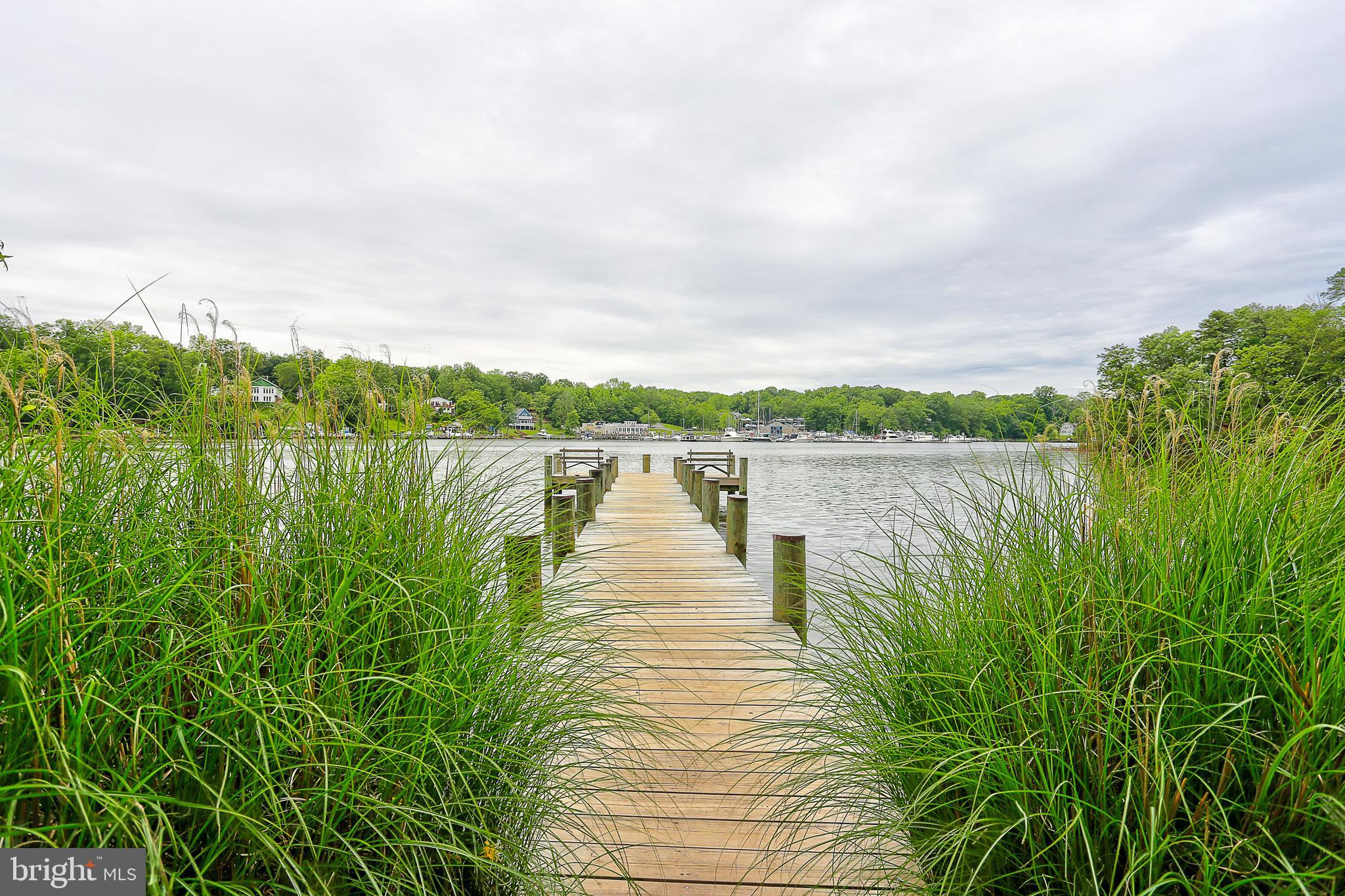 CHESTNUT HILL COVE - Residential