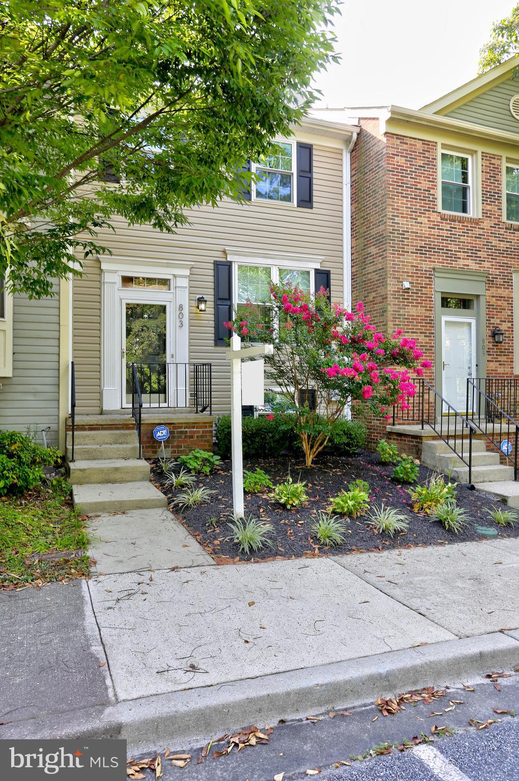 CHESTNUT HILL COVE - Residential