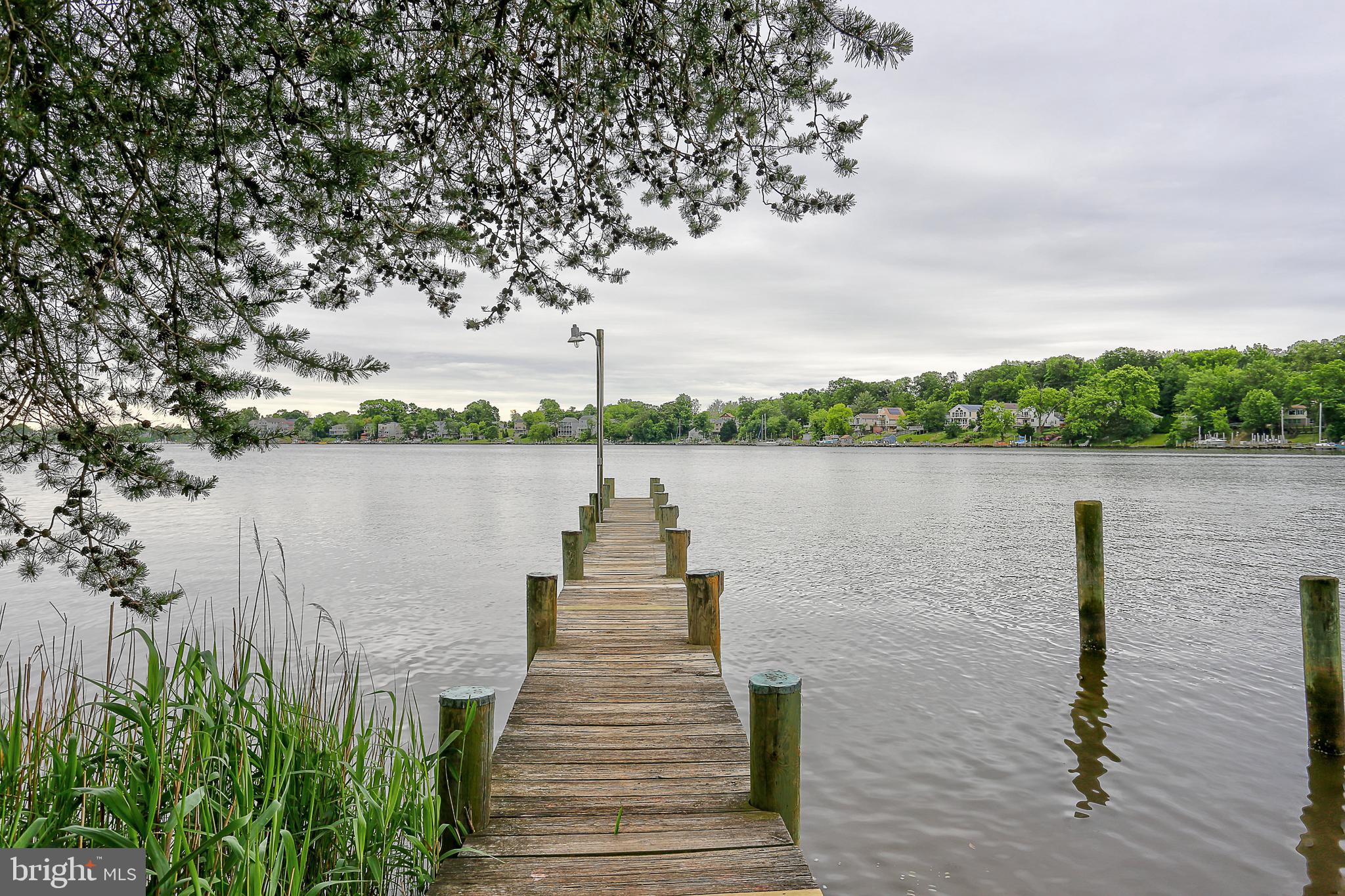 CHESTNUT HILL COVE - Residential