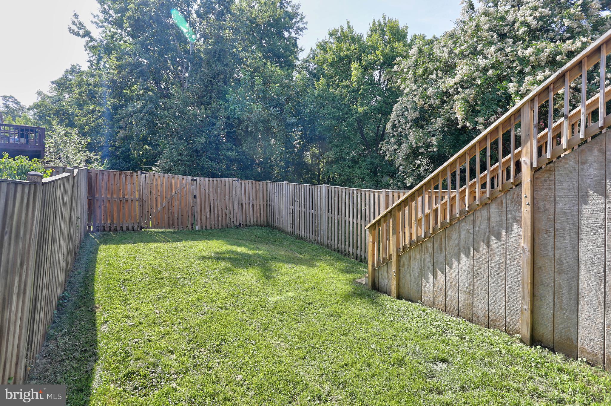 CHESTNUT HILL COVE - Residential