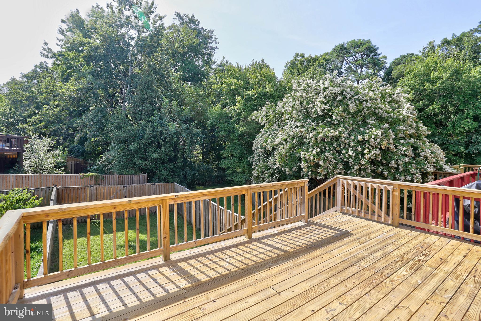 CHESTNUT HILL COVE - Residential