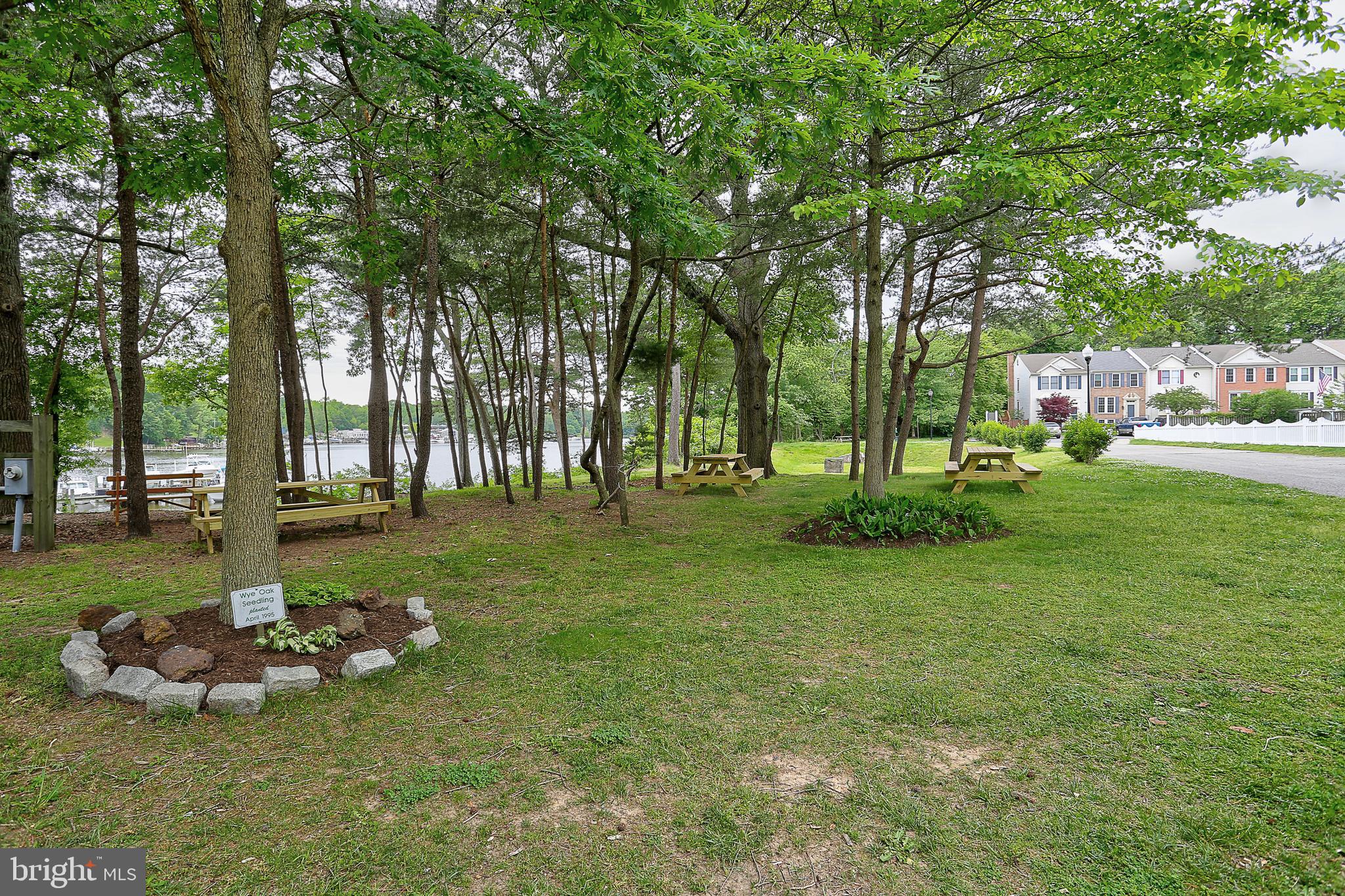 CHESTNUT HILL COVE - Residential