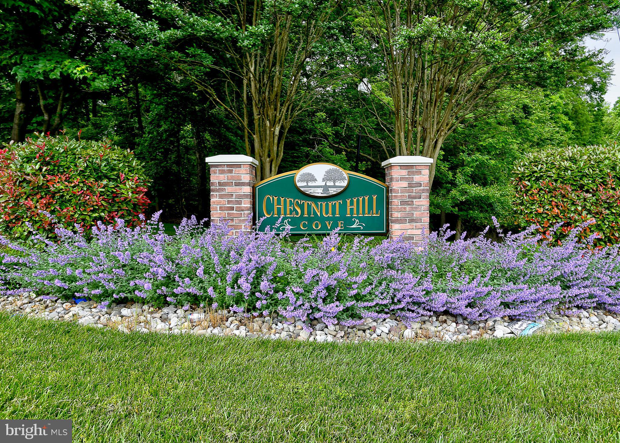 CHESTNUT HILL COVE - Residential