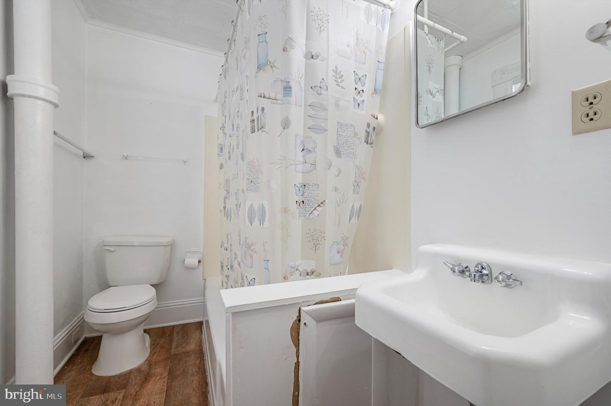 Main image without alt text