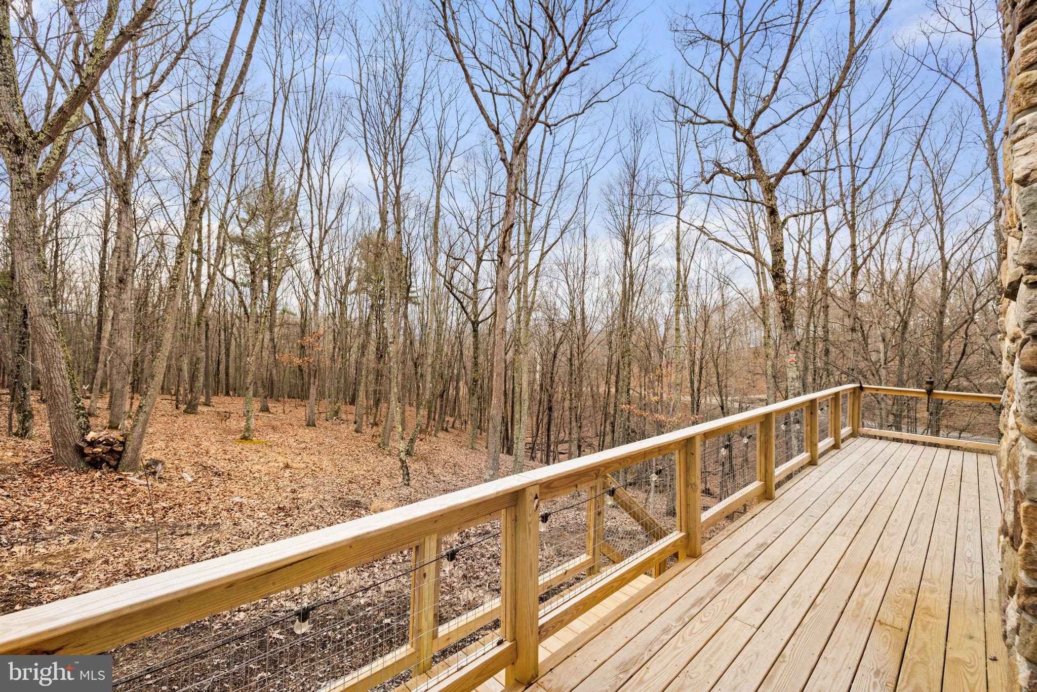 THE CROSSING AT GREAT CACAPON - Residential