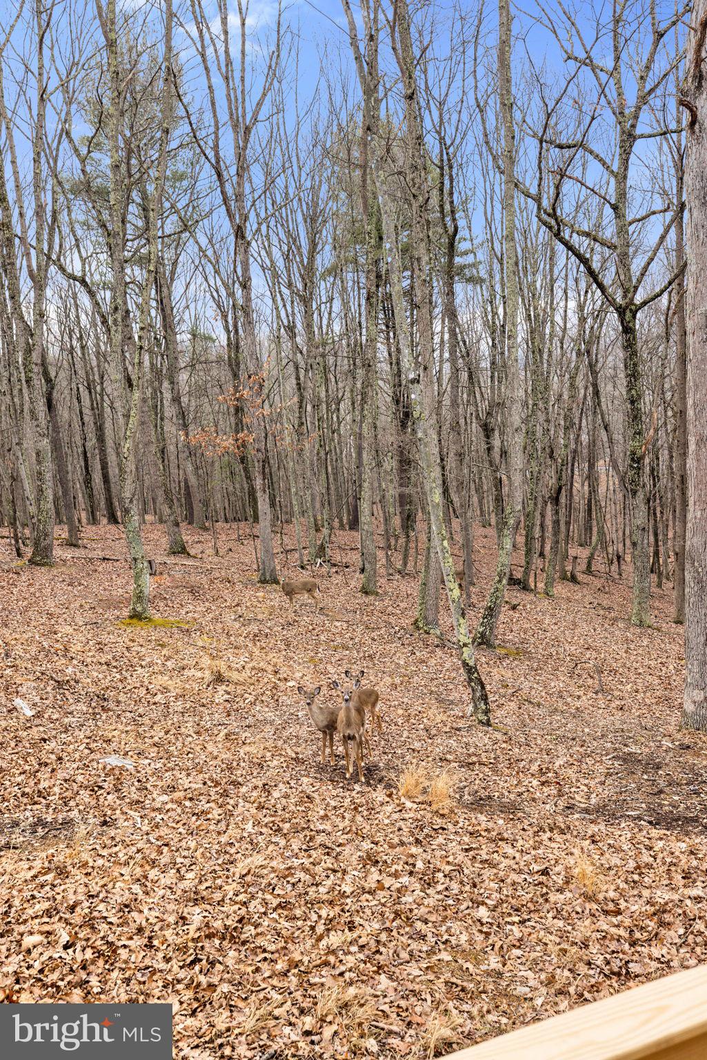 THE CROSSING AT GREAT CACAPON - Residential