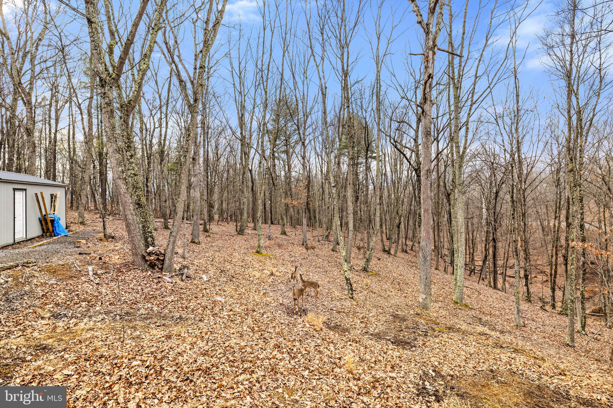 THE CROSSING AT GREAT CACAPON - Residential