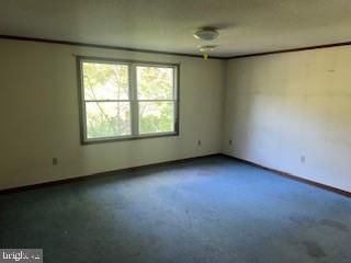 CEDAR BEACH - Residential