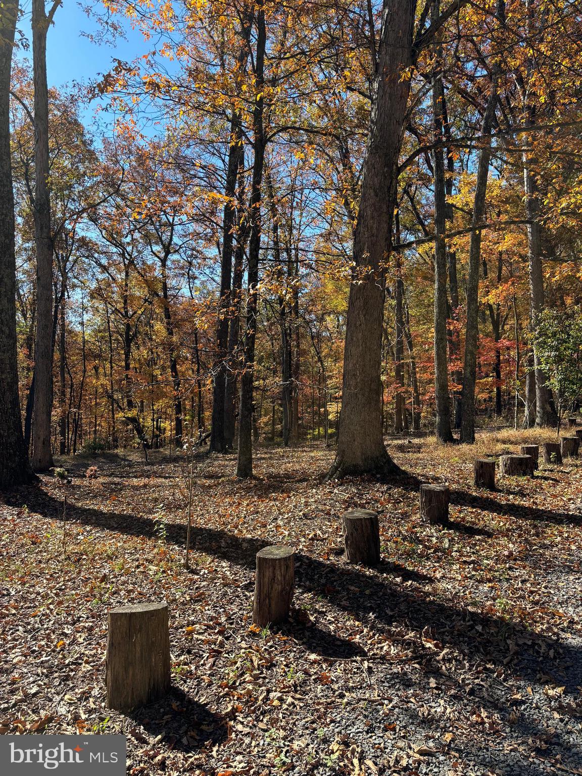 DOGWOOD FLATS - Residential