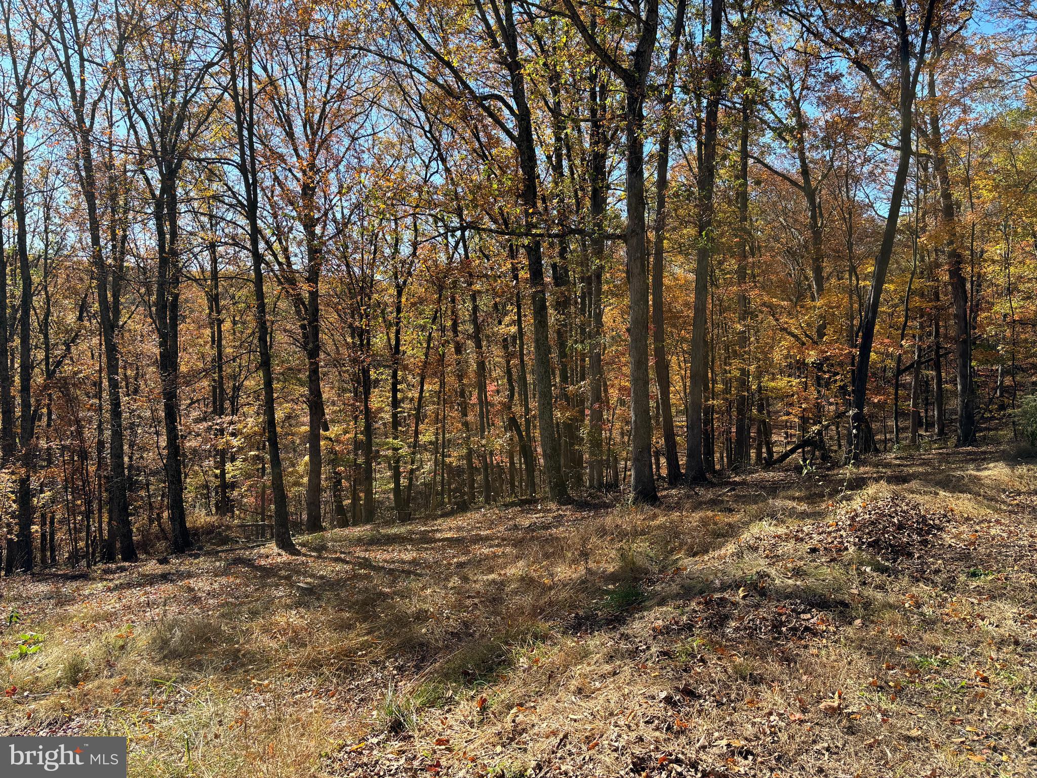 DOGWOOD FLATS - Residential