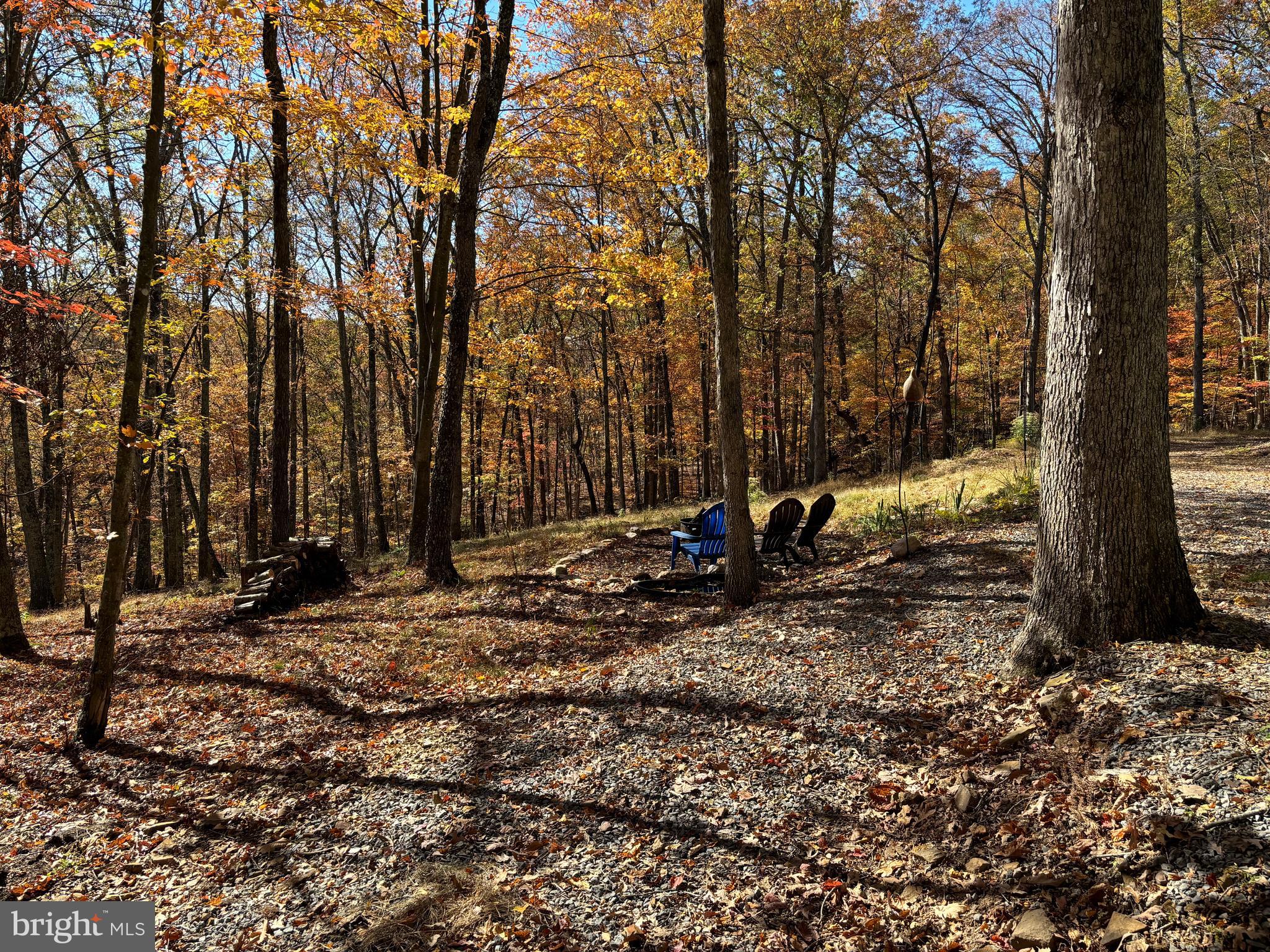 DOGWOOD FLATS - Residential
