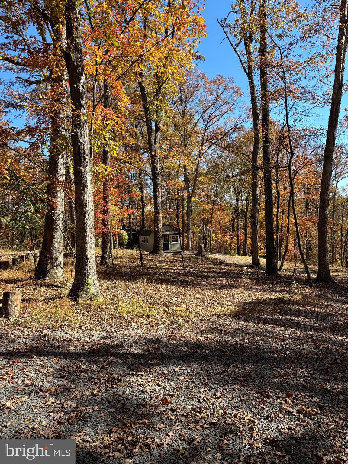 DOGWOOD FLATS - Residential