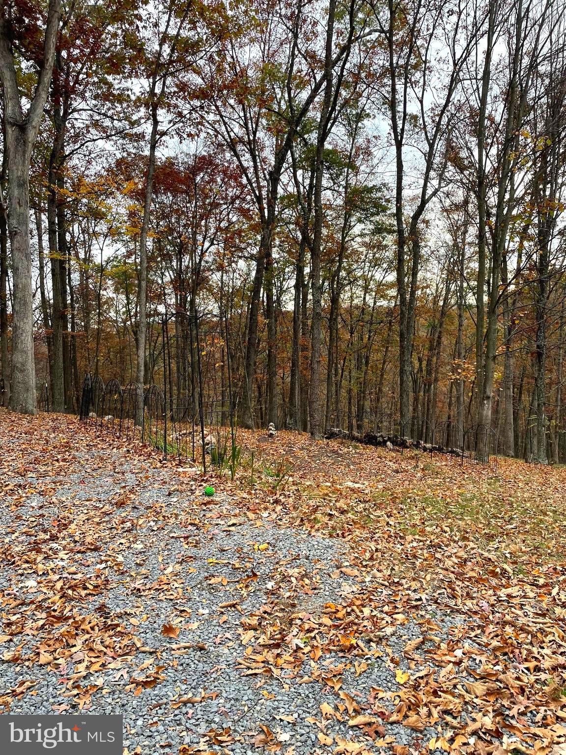 DOGWOOD FLATS - Residential