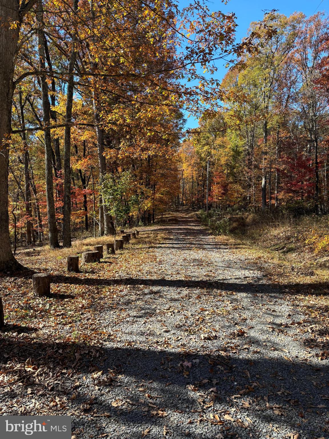 DOGWOOD FLATS - Residential