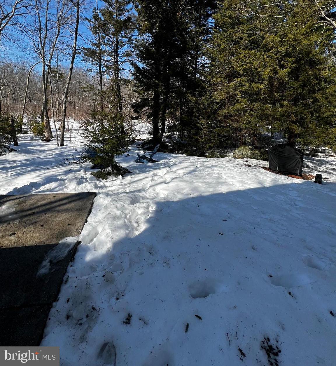 POCONO COUNTRY PLACE - Residential