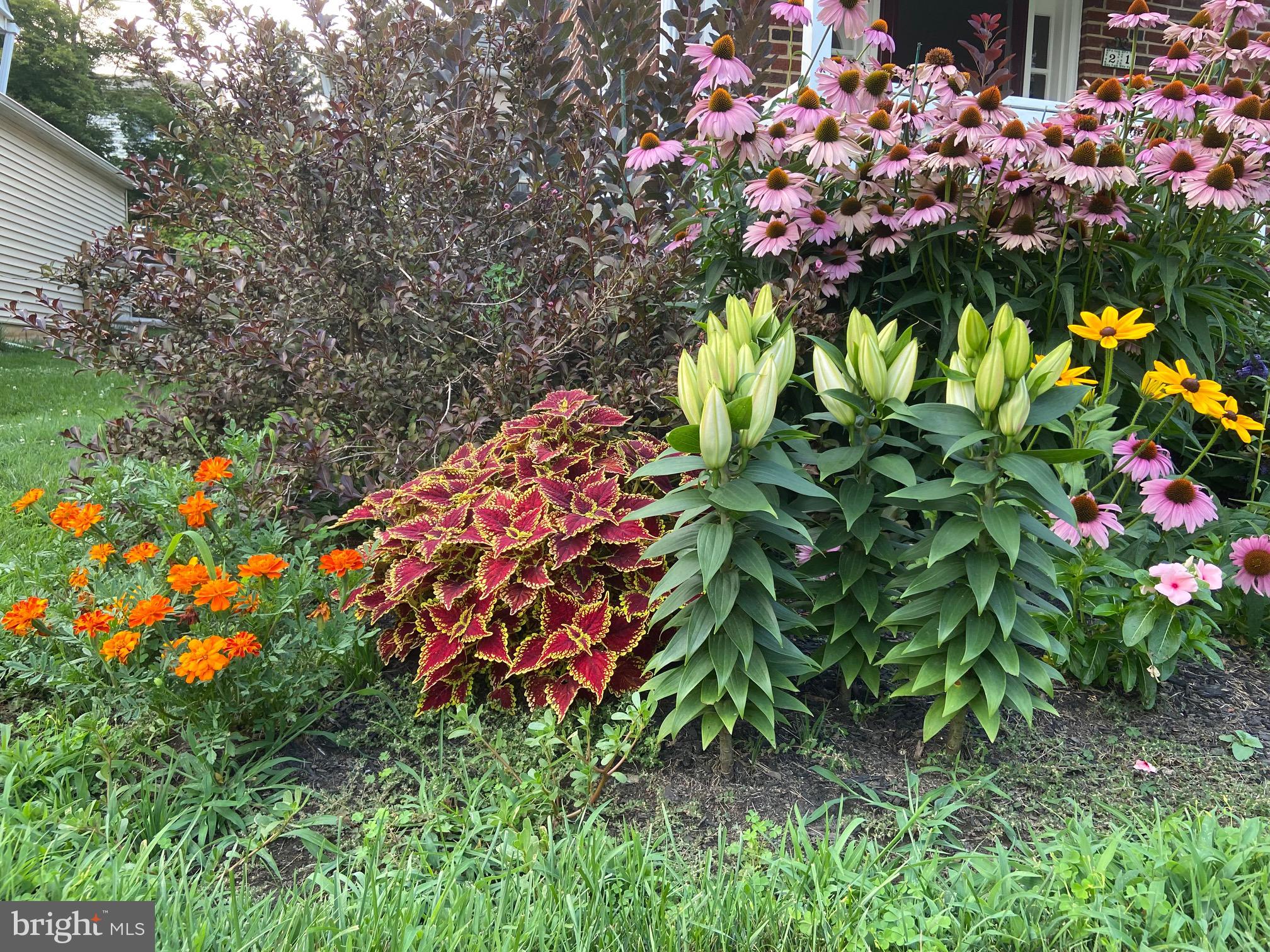 FLOURTOWN - Residential