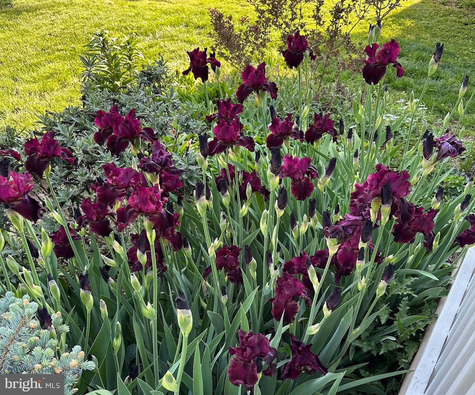 FLOURTOWN - Residential