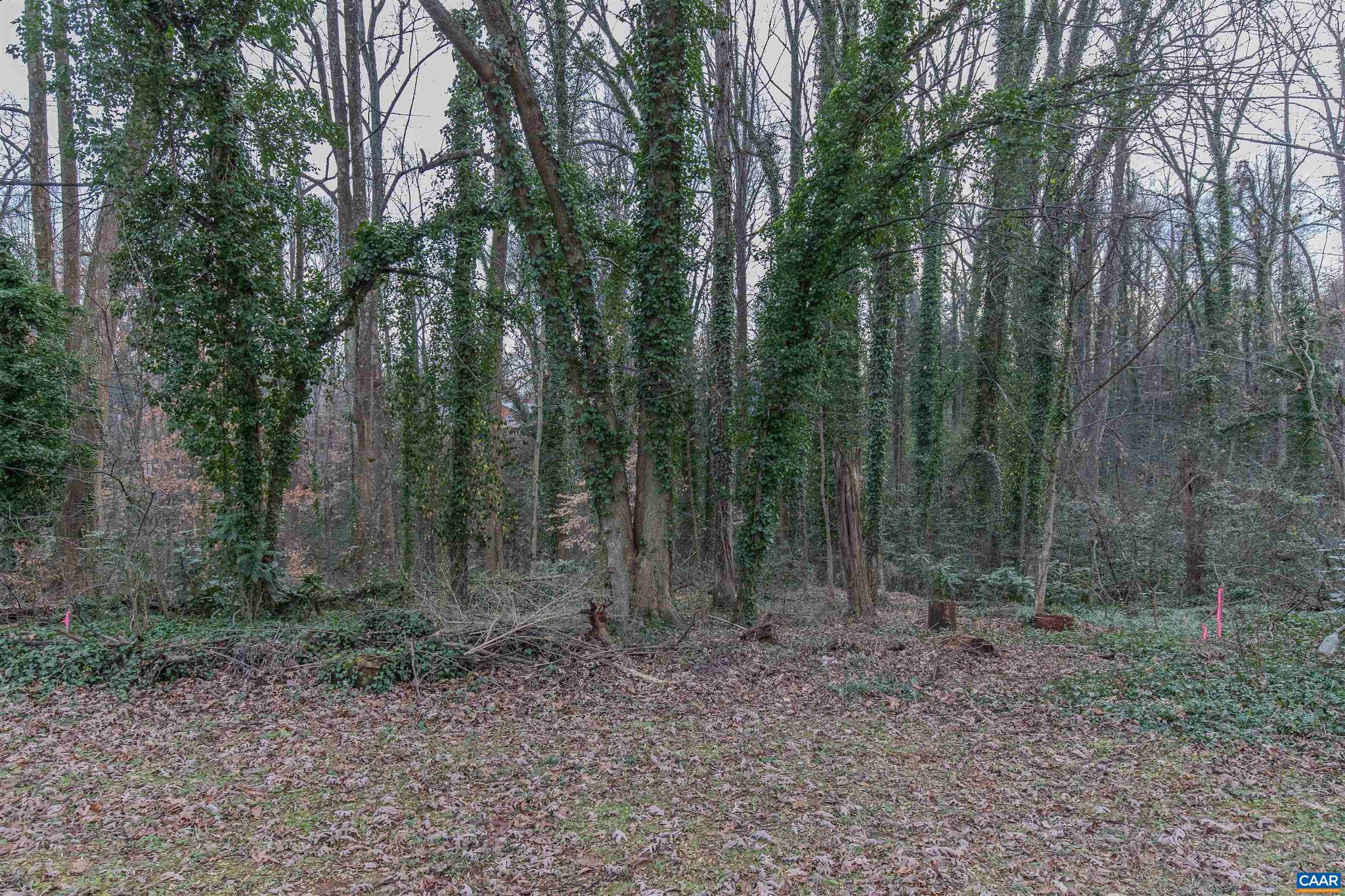 NONE AVAILABLE - Land