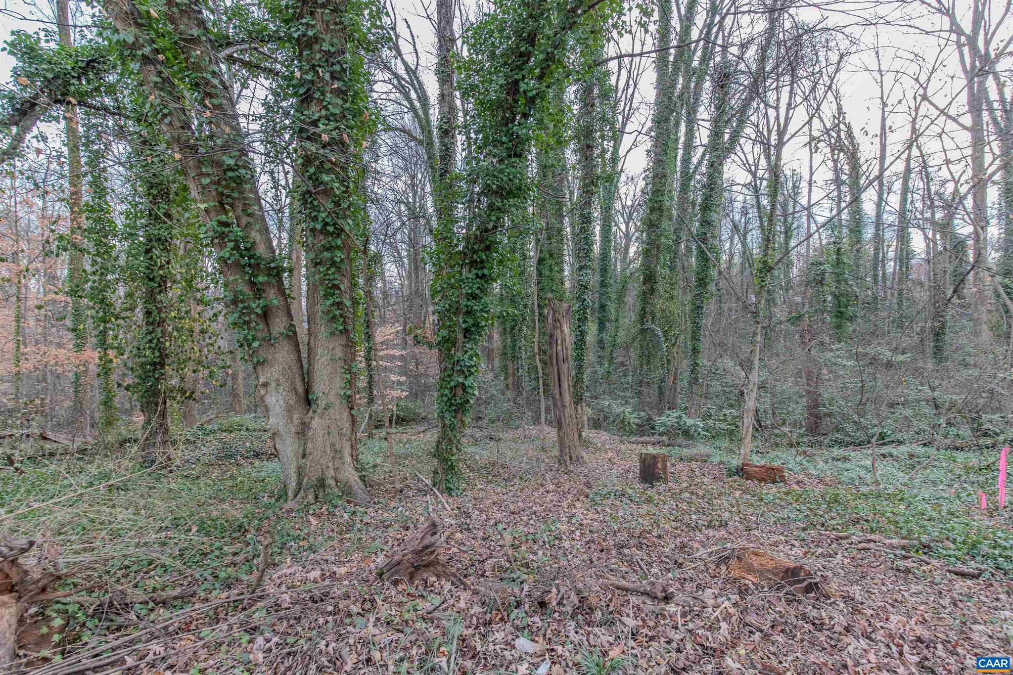 NONE AVAILABLE - Land