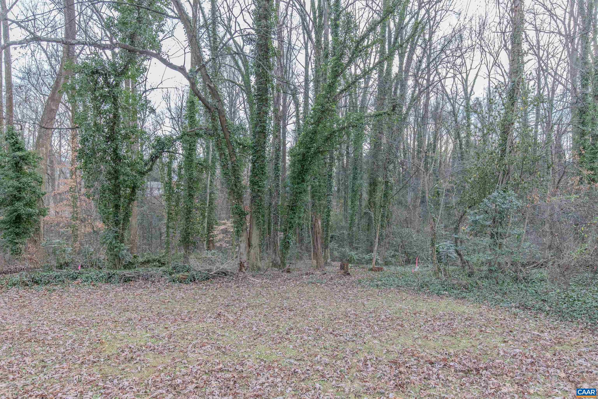 NONE AVAILABLE - Land