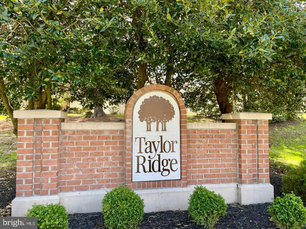 TAYLOR RIDGE - Residential