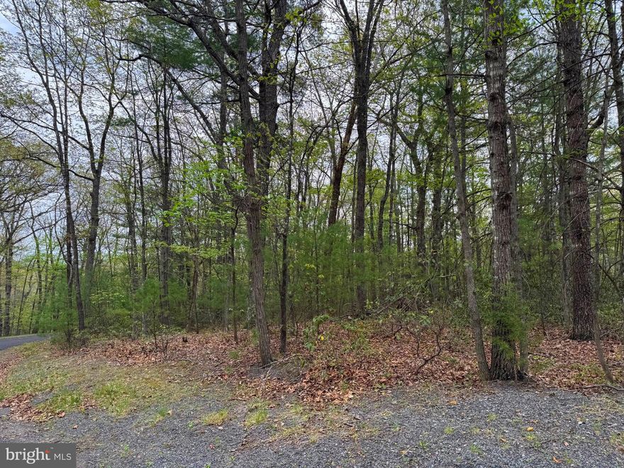 Tucked into the woods in Bryce Resort, at the corner of Morrie Drive and Dooley Drive, Lot 17 offers a peaceful setting to build your mountain getaway or full-time residence. This 0.26-acre corner lot is a rare find in the mountains, as it is mostly level—making the building process more accessible and flexible than most. There’s also potential for views through and above the treetops, offering a beautiful backdrop for your future home. Whether you're envisioning a cozy cabin retreat or a modern woodland residence, this lot provides a solid foundation to bring your ideas to life.

Take a drive by and see if this lot feels like the perfect fit for your next chapter—it just might be the one you’ve been waiting for.