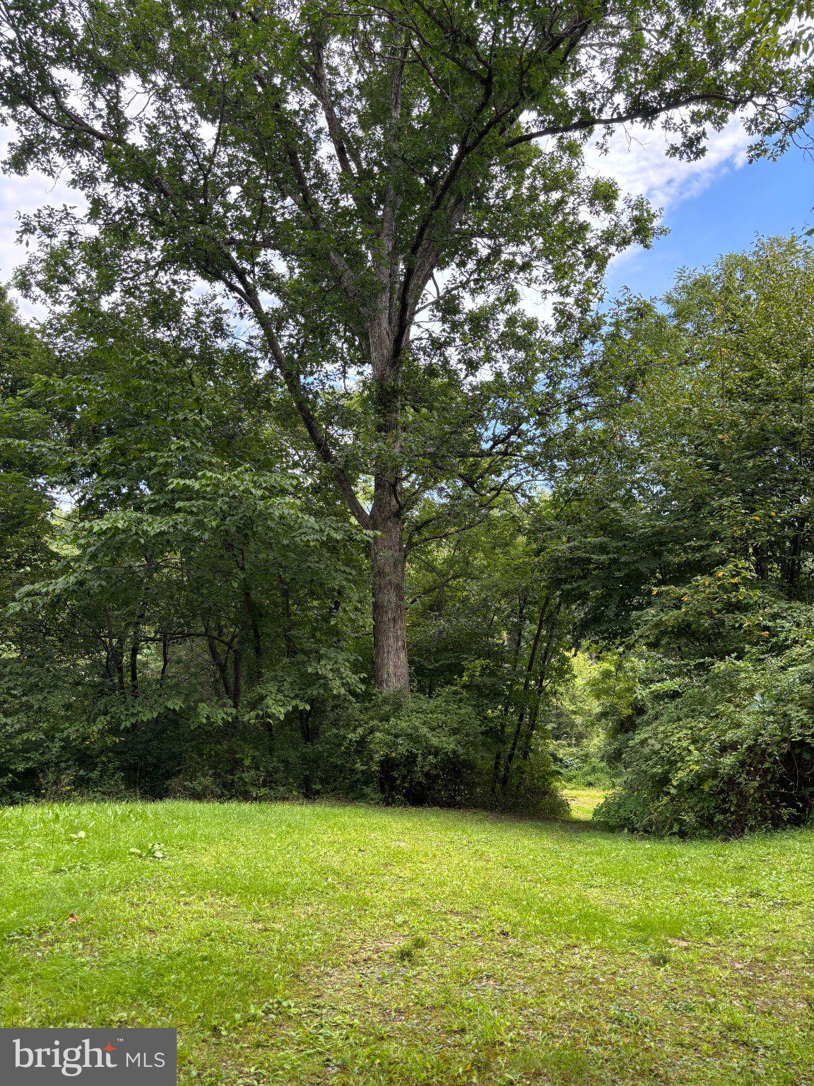 80 TIMBER LANE