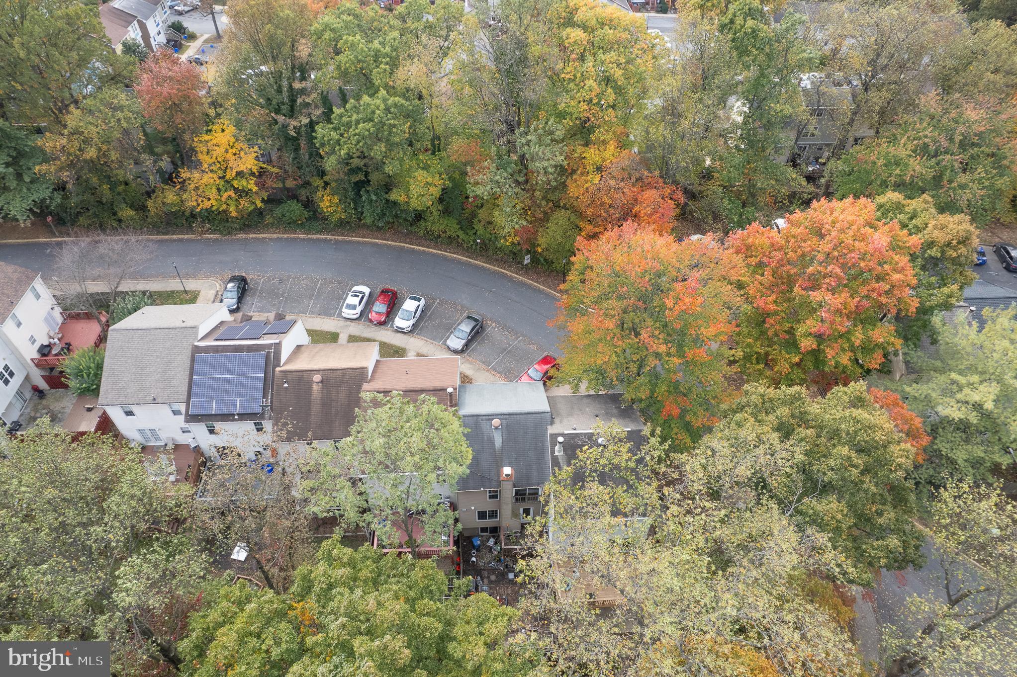 13007 CLIMBING IVY DRIVE