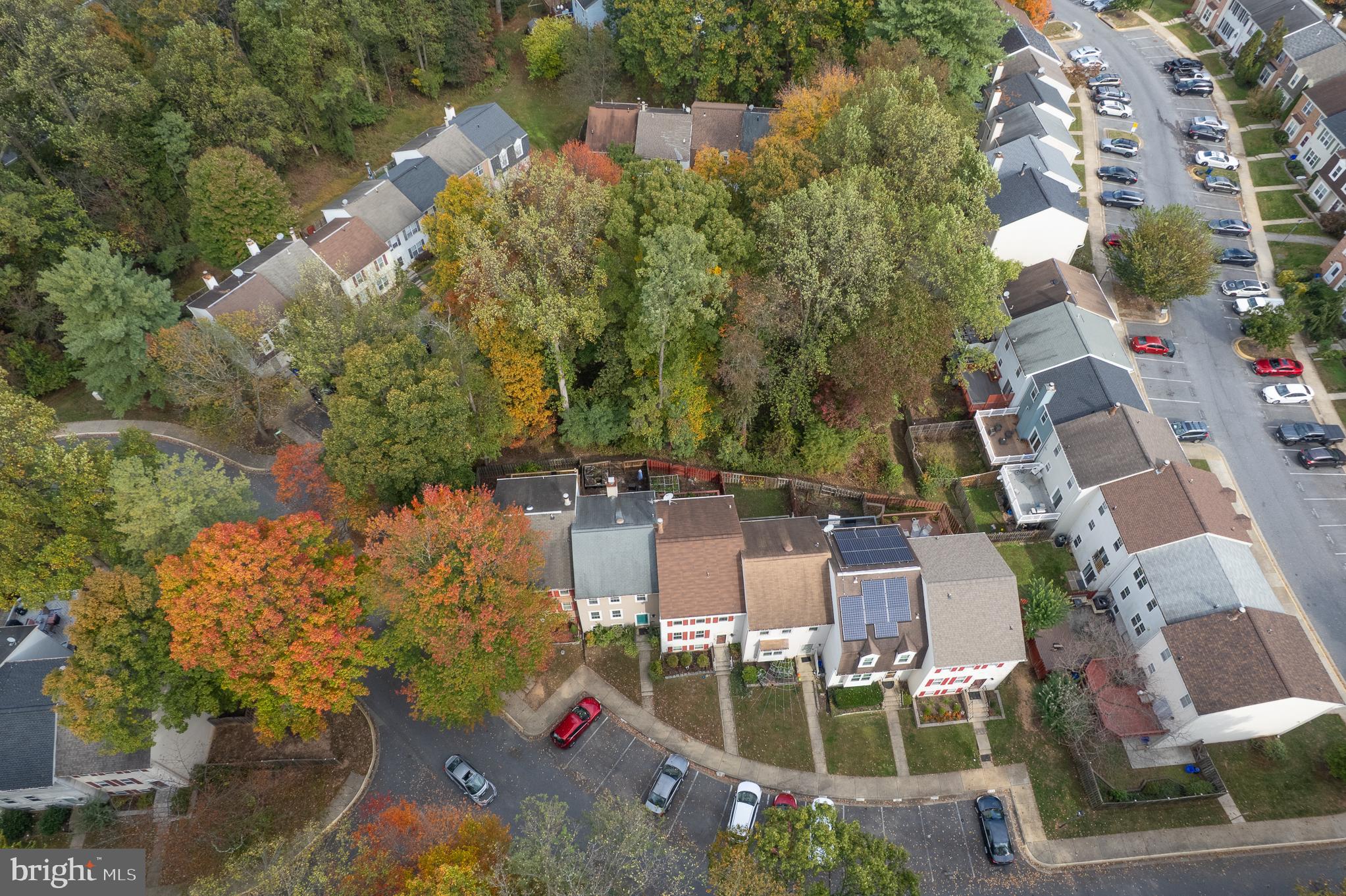 13007 CLIMBING IVY DRIVE