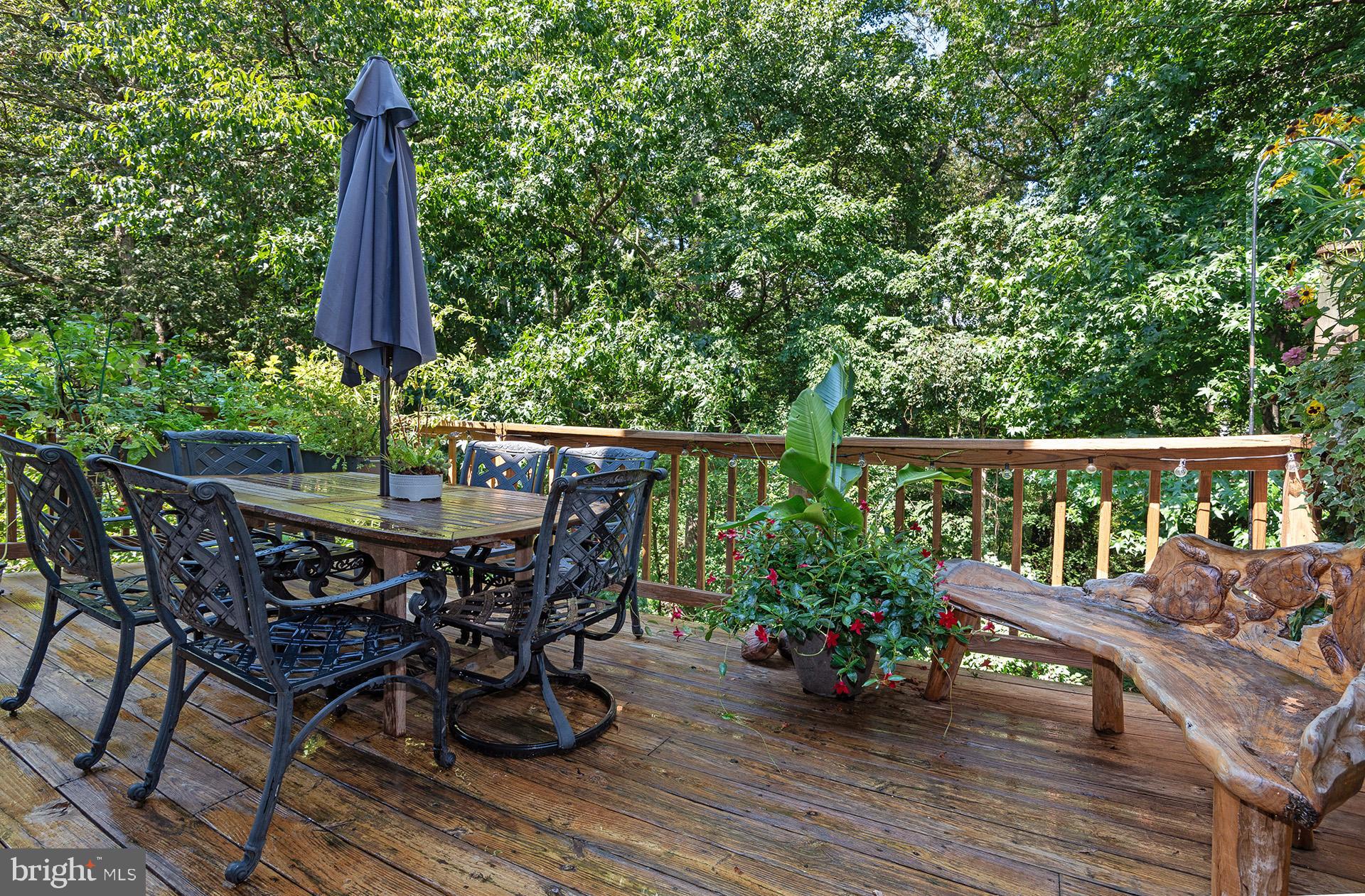 RIVA TRACE/SPRING PLACE - Residential