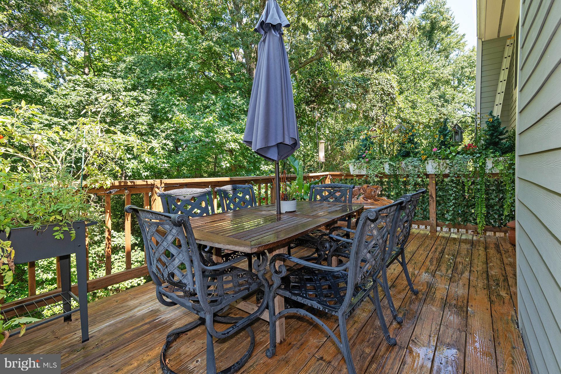 RIVA TRACE/SPRING PLACE - Residential