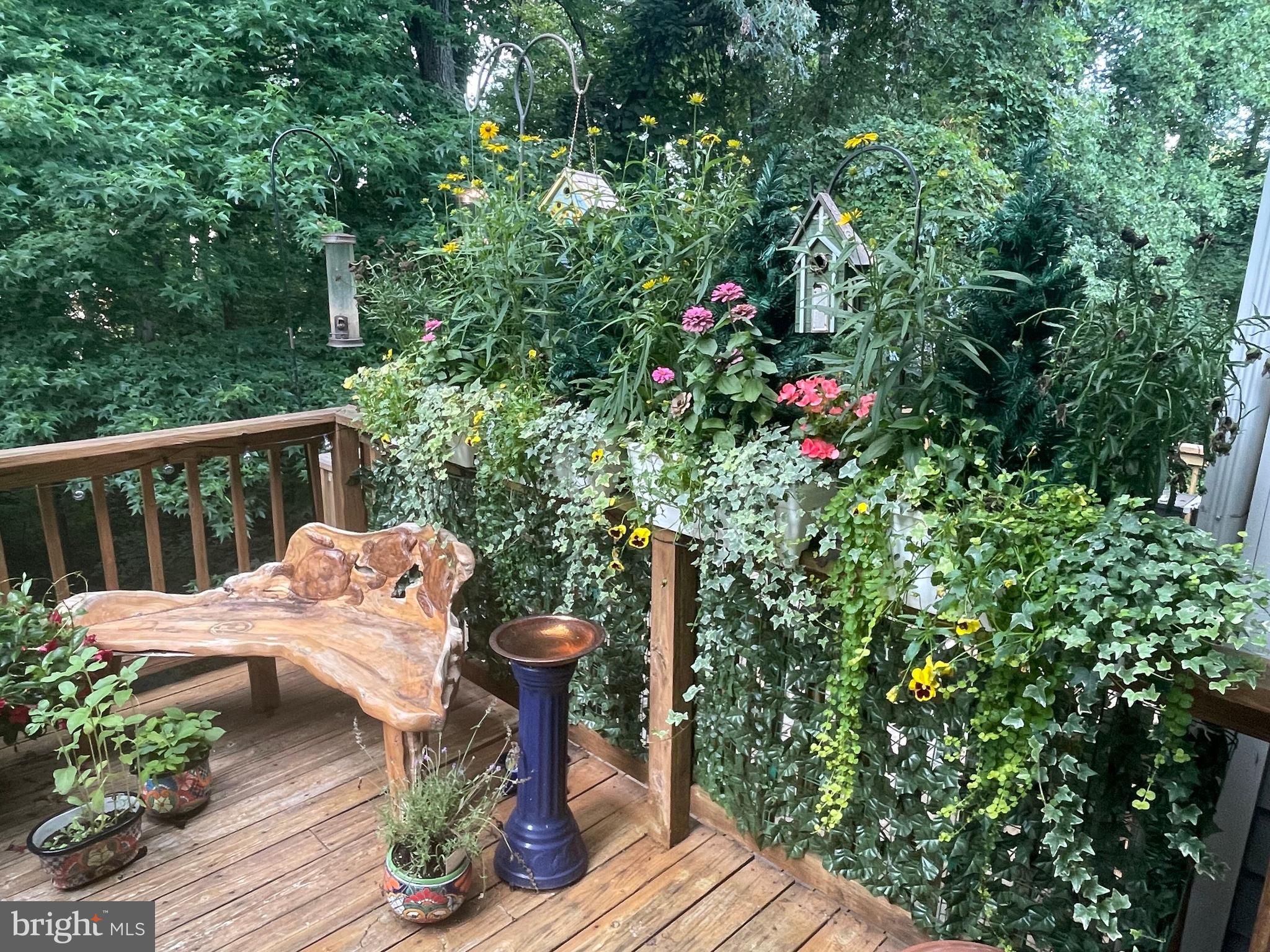 RIVA TRACE/SPRING PLACE - Residential