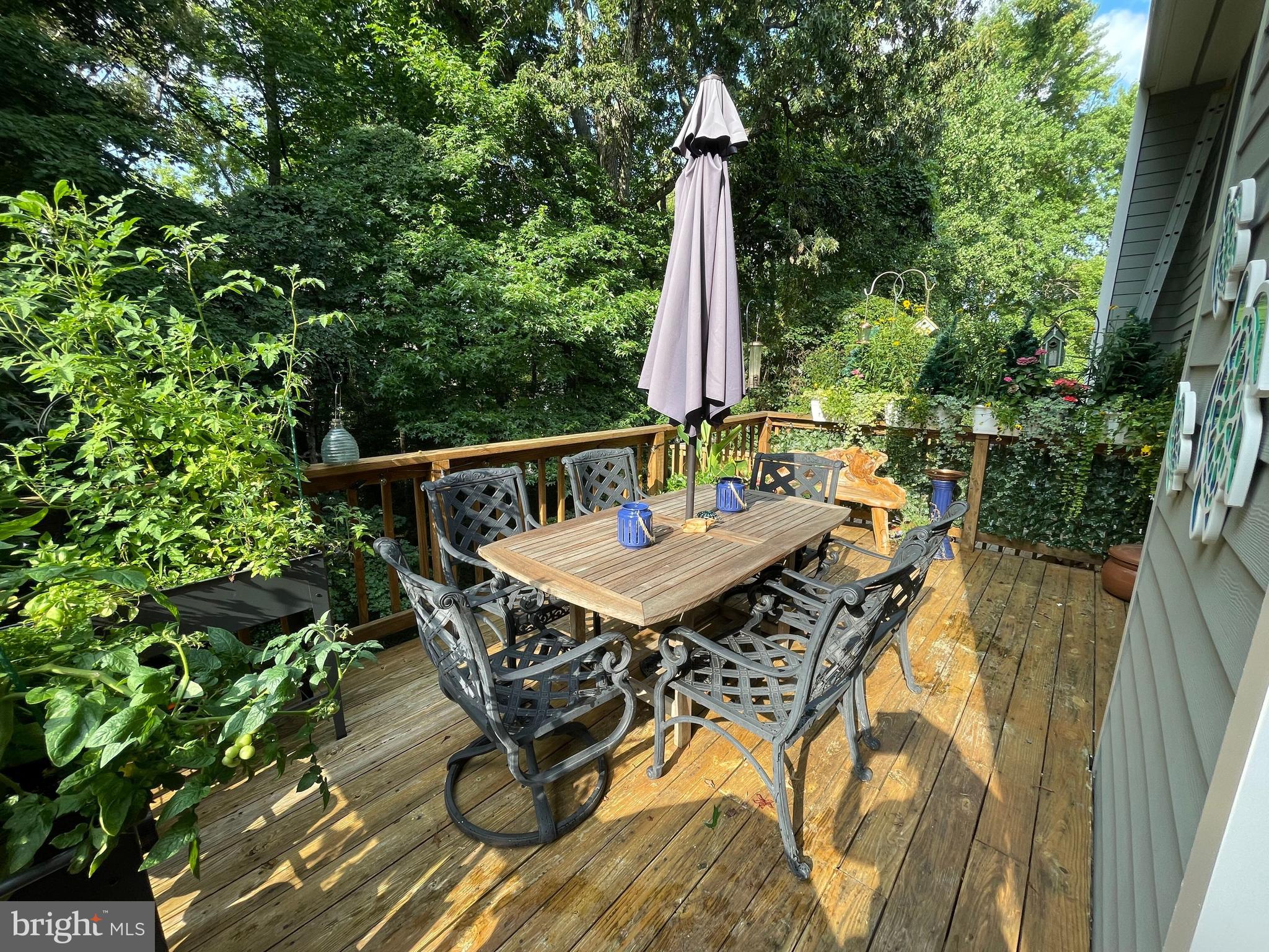 RIVA TRACE/SPRING PLACE - Residential