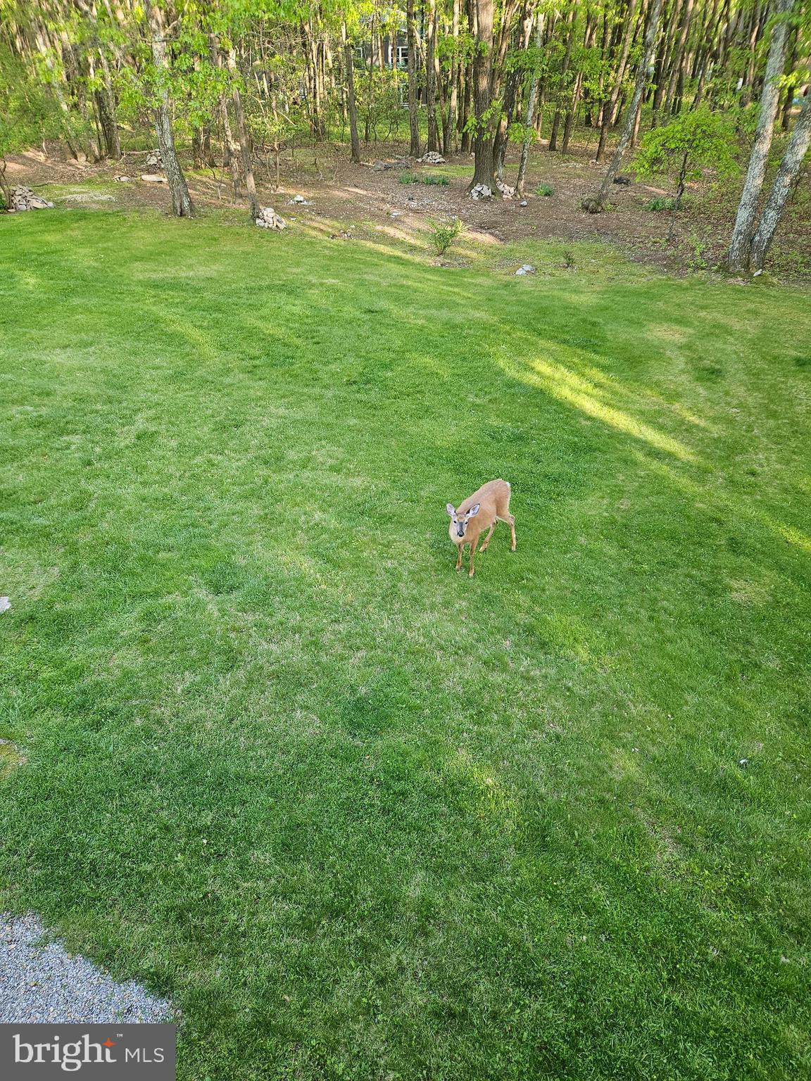 BIRCH HOLLOW ESTATES - Residential