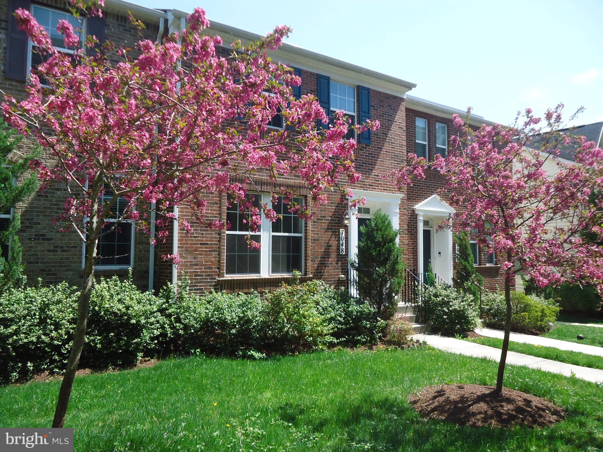 STUNNING three level, 2 car garage townhome with Magnificent Views! Featuring spacious open floor plan, 4 Bedrooms and 3 full baths (including a guest bathroom) and a Powder Room on the main level, pantry; Balcony off of the kitchen, Beautiful Wood Floors (Main level), upgrades, stainless steel appliances, 2nd floor laundry. Freshly painted, brand new carpeting on the second floor, landscaping and lawn care done by the HOA . All you have to do is Move in, Sit Down and Relax!