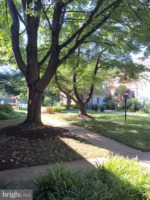 KENWOOD FOREST - Residential Lease