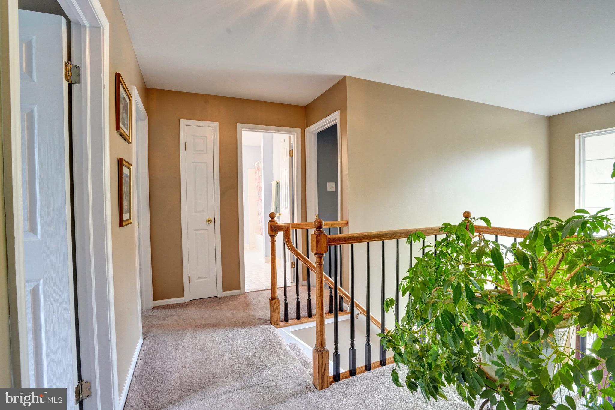 PROVIDENCE WOODS - Residential