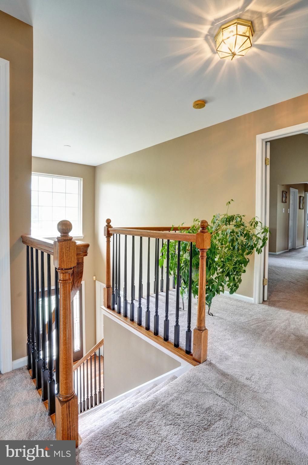 PROVIDENCE WOODS - Residential