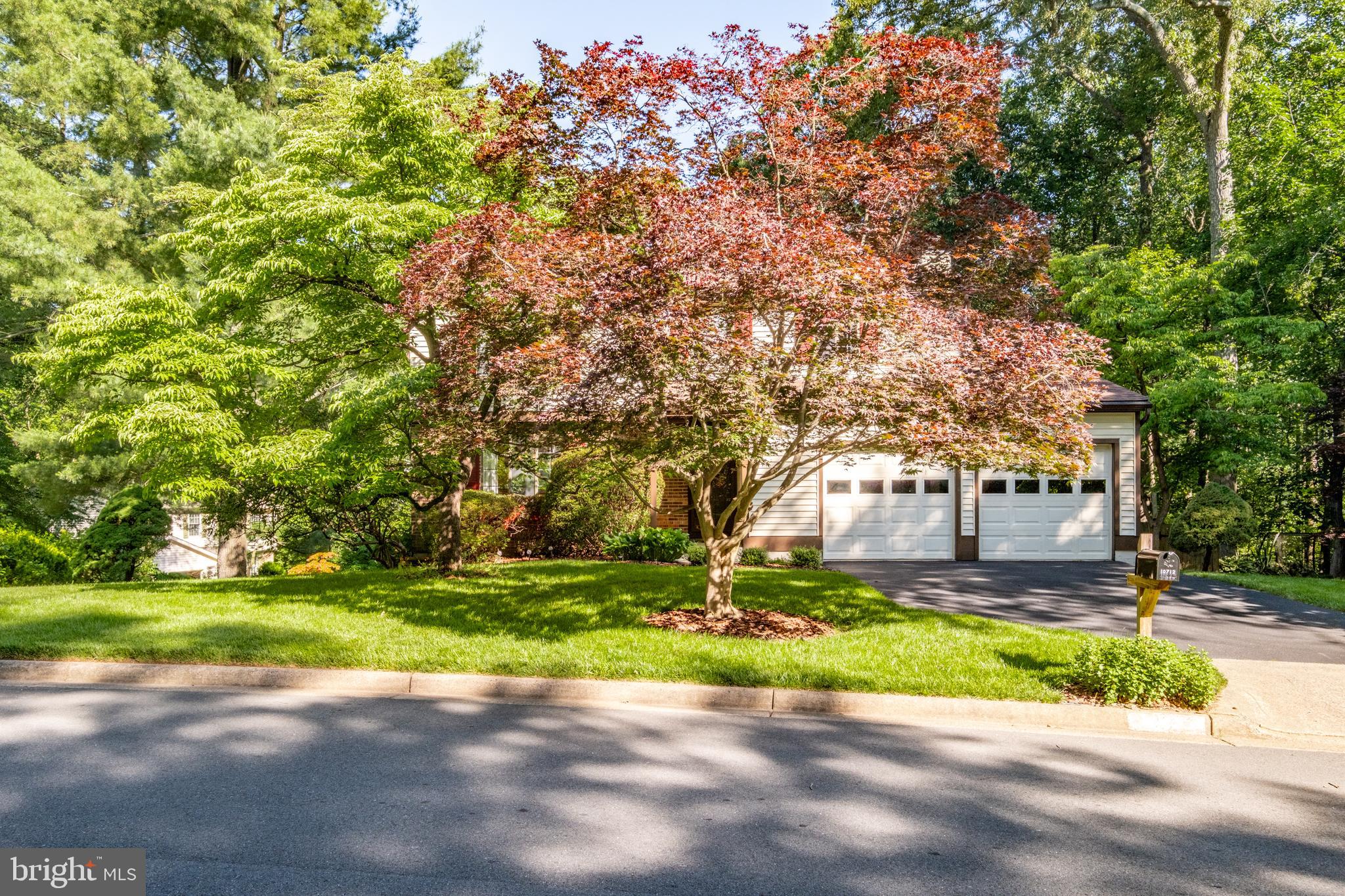 10712 FREDS OAK COURT